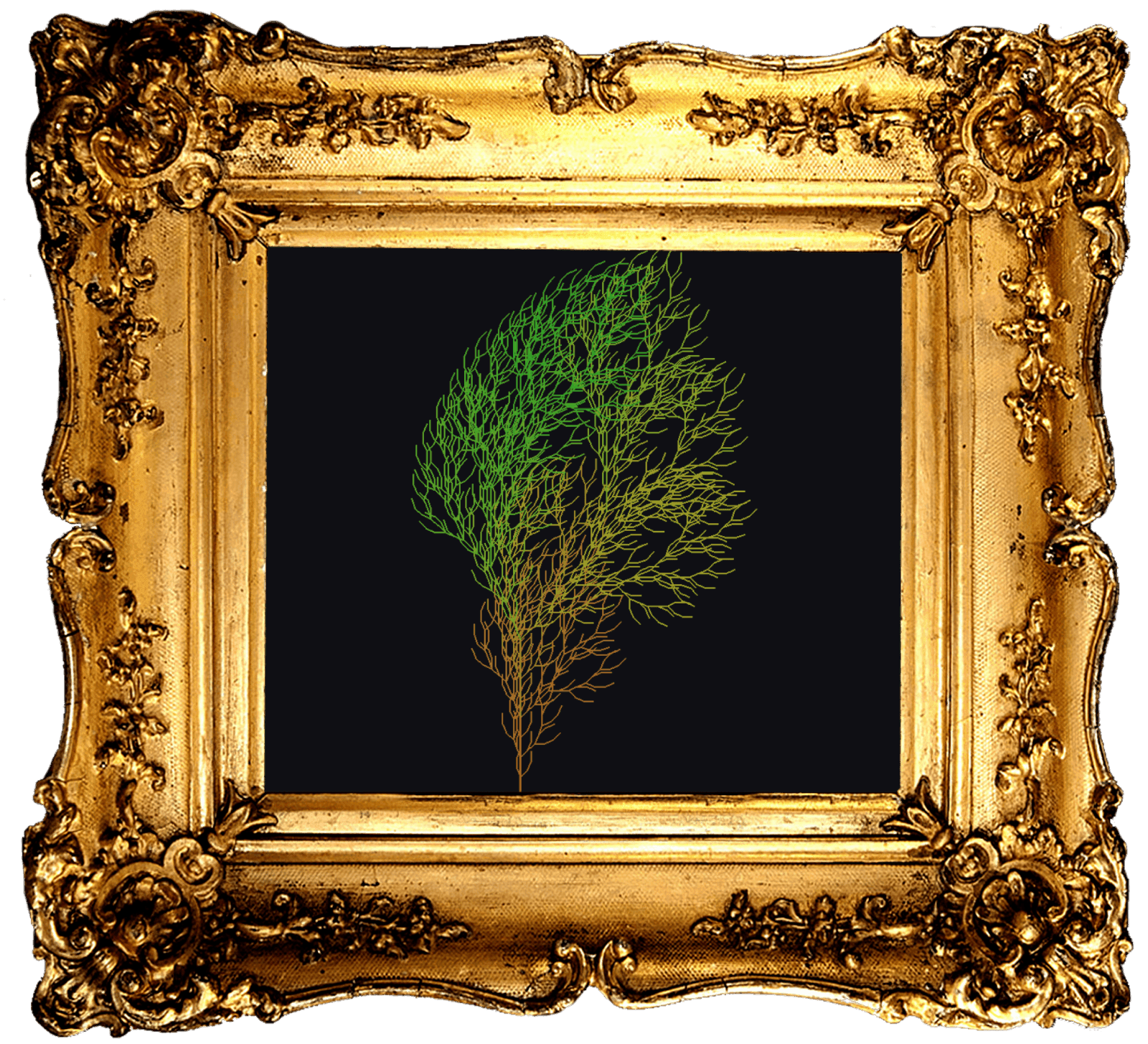 L-System Renderer